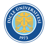 4262df6da7214e7f8cb6923c68e2536d_Dicle Üniversitesi PNG